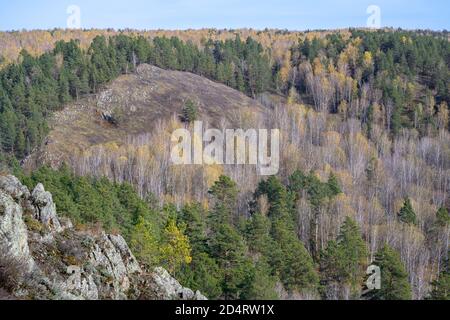 Forêt d'automne avec des birches jaunes et des fermes vertes sur le Pente d'une falaise de montagne dans la taïga sibérienne Banque D'Images