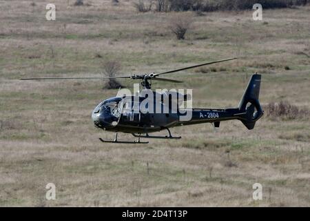 L'hélicoptère Gazelle (sa 341) est un hélicoptère polyvalent et léger d'attaque fabriqué par Aeropatiale pendant un exercice militaire Banque D'Images