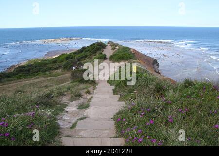 Long Reef Headland. Banque D'Images