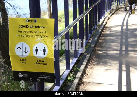 Sydney, Australie. 11 octobre 2020. Northern Beaches Council Covid-19 signe de conseil social de distanciation sur le sentier de la lagune de Narrabea. Credit: Richard Milnes/Alamy Live News Banque D'Images