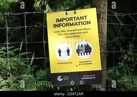 Sydney, Australie. 11 octobre 2020. Northern Beaches Council Covid-19 signe de conseil social de distanciation sur le sentier de la lagune de Narrabea. Credit: Richard Milnes/Alamy Live News Banque D'Images
