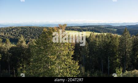 Vue du gugelturm dans la forêt noire du sud près de Herrischried, en allemagne dans le paysage. Banque D'Images