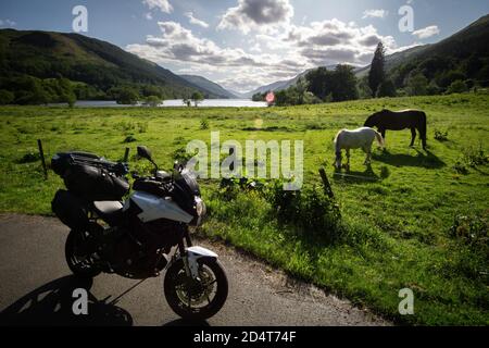 Pédalez devant les chevaux et l'herbe au Loch Voil L'Écosse par beau temps ensoleillé Banque D'Images