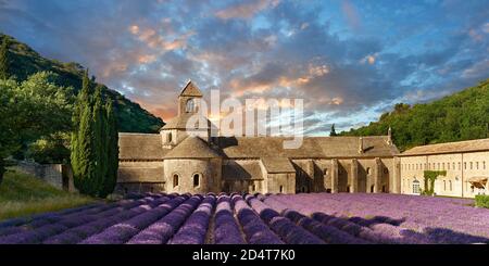 L'abbaye cistercienne romane du XIIe siècle de notre-Dame de Sénanque ( 1148 ) est située parmi les champs de lavande fleuris de Provence près de Gordes, FRA Banque D'Images