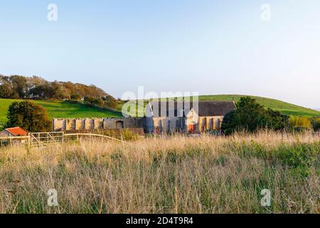 La grande grange de la dîme sur les ruines de l'abbaye d'Abbotsbury, un ancien monastère bénédictin d'Abbotsbury, Devon, au sud-est de l'Angleterre, vu d'Abbey House Banque D'Images