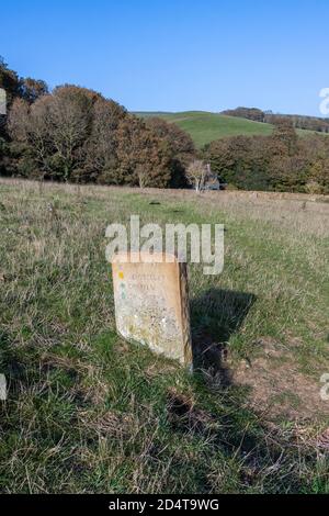 Marqueur de distance au point de milepost en pierre dans un champ sur le sentier de la côte sud-ouest sur la côte du patrimoine près d'Abbotsbury, Dorset, Banque D'Images