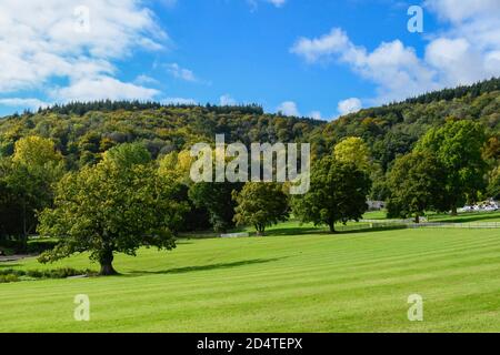 Canonteign Falls, Chudleigh, Devon, Royaume-Uni. 11 octobre 2020. Les arbres sont dans leurs couleurs d'automne à Canonteign Falls près de Chudleigh à Devon, lors d'une chaude journée ensoleillée. Météo Royaume-Uni. Crédit photo : Graham Hunt/Alamy Live News Banque D'Images