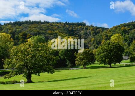 Canonteign Falls, Chudleigh, Devon, Royaume-Uni. 11 octobre 2020. Les arbres sont dans leurs couleurs d'automne à Canonteign Falls près de Chudleigh à Devon, lors d'une chaude journée ensoleillée. Météo Royaume-Uni. Crédit photo : Graham Hunt/Alamy Live News Banque D'Images