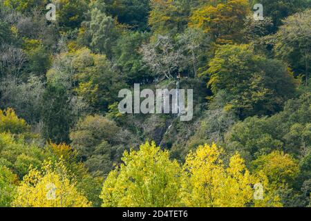 Canonteign Falls, Chudleigh, Devon, Royaume-Uni. 11 octobre 2020. Les arbres sont dans leurs couleurs d'automne plein que les visiteurs prennent dans la vue depuis le sommet de Canonteign Falls près de Chudleigh dans le Devon lors d'une chaude journée ensoleillée. Météo Royaume-Uni. Crédit photo : Graham Hunt/Alamy Live News Banque D'Images