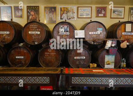 Tonneaux avec vin et sherry derrière le bar à Antigua Casa de Guardia ou casa Flores la plus ancienne bodega de Malaga, restrictions Covid-19. Andalousie, Espagne. Banque D'Images