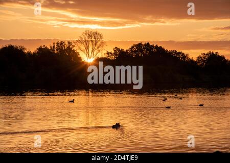 Un lever de soleil doré sur le canal d'aviron Banque D'Images