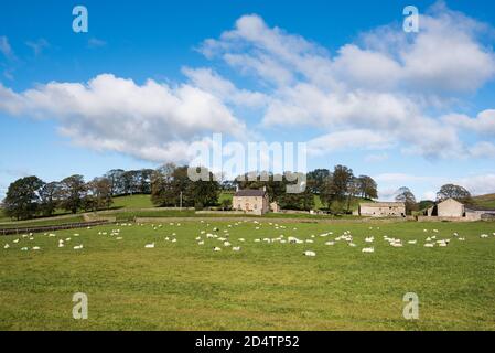 Little Newton , long Preston Banque D'Images