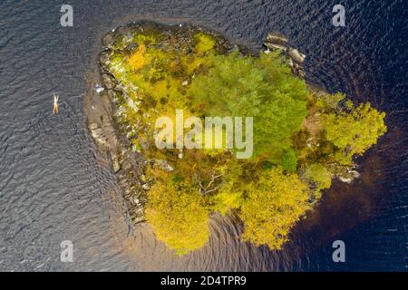 Meg Spittal un nageur sauvage avec le groupe Fife Wild Swimming profite d'une baignade autocharde trépidant autour d'une petite île couverte d'arbres au milieu du Loch Chon dans le Loch Lomond et le parc national de Trossachs. Banque D'Images