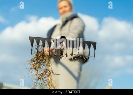 Une femme dans le jardin avec un râteau dans ses mains. Élimine l'herbe morte après l'hiver.personne prenant soin de l'herbe de cour de maison de jardin. Agricole, concept d'équipement de jardinage. Faible profondeur de champ. Banque D'Images