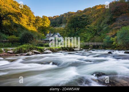 Watersmeet, Lynmouth, Devon, Royaume-Uni. 11 octobre 2020. Les arbres sont dans leurs couleurs d'automne à Watermeet sur la rivière Lyn près de Lynmouth dans le parc national d'Exmoor à Devon, un après-midi chaud et ensoleillé. Météo Royaume-Uni. Crédit photo : Graham Hunt/Alamy Live News Banque D'Images