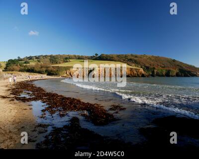 Plage de Porthluney, Caerhays, Cornouailles. Banque D'Images