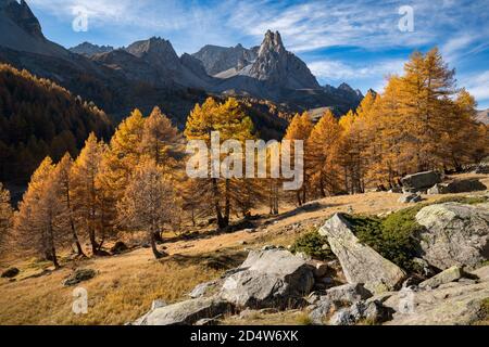 Vallée de Claree aux mélèzes aux couleurs de l'automne. Cerces Massif avec pic main de Crepin (main de Crepin). Vallée de la Claree, Hautes-Alpes, Alpes Banque D'Images