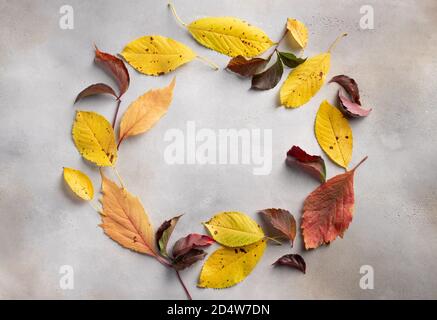 cadre rond composé de feuilles de différentes couleurs sur un fond en béton gris Banque D'Images