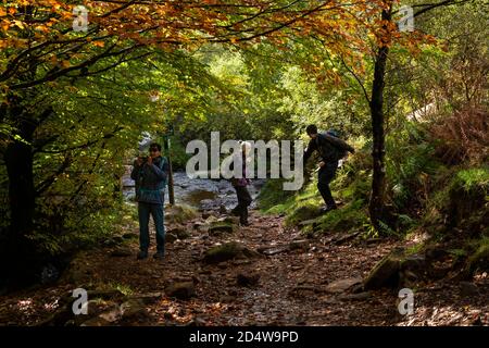 Royaume-Uni, Angleterre, Staffordshire, Moorlands, Flash, Gradbach, Far Brook, marcheurs sur le chemin de la vallée de la rivière en automne Banque D'Images