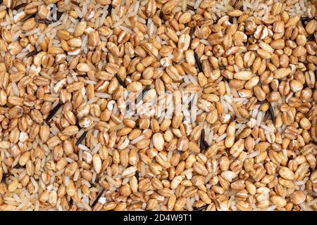 Vue de dessus plein cadre sec riz à grains entiers non cuit Banque D'Images