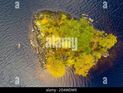 Aberfoyle, Écosse, Royaume-Uni. 10 octobre 2020. Meg Spittal , nageur sauvage avec le groupe Fife Wild Swimming bénéficie d'une baignade autumnale trépidant autour d'une petite île couverte d'arbres au milieu du Loch Chon dans le Loch Lomond et le parc national de Trossachs. Iain Masterton/Alay Live News Banque D'Images