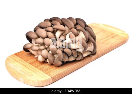 Champignons naturels comestibles, panneau de bambou, isolé sur fond blanc, champignons pour la cuisson et les cornichons, gros plan et espace de copie Banque D'Images