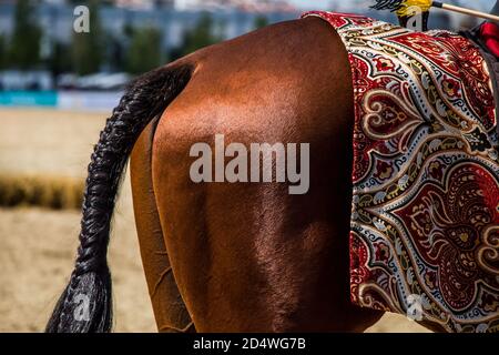 Gros plan d'un cheval brun avec une queue tressée une ferme sous la lumière du soleil Banque D'Images