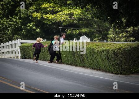 Jeunes garçons amish qui traversent les champs. Comté de Lancaster, Pennsylvanie. ÉTATS-UNIS Banque D'Images