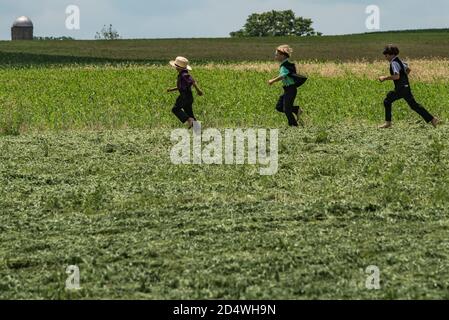 Jeunes garçons amish qui traversent les champs. Comté de Lancaster, Pennsylvanie. ÉTATS-UNIS Banque D'Images