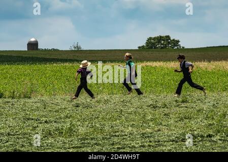 Jeunes garçons amish qui traversent les champs. Comté de Lancaster, Pennsylvanie. ÉTATS-UNIS Banque D'Images