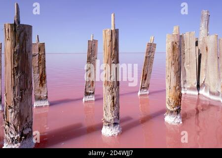 Superbe lac de sel de couleur rose véritable. Photo de haute qualité Banque D'Images