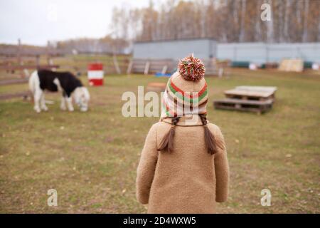 Vue arrière d'une petite fille sur une ferme équestre méconnaissable Banque D'Images