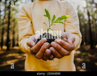 Jeune homme plein d'esprit tenant une plante verte dans le sol se détendant bois somptueux Banque D'Images