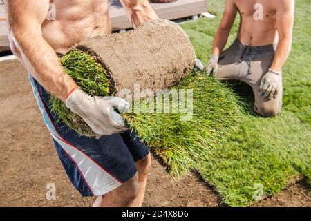 Deux travailleurs de race blanche dans leurs 40s installer des tourfs d'herbe de nature Dans le jardin résidentiel Banque D'Images