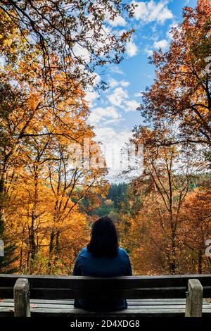 Femme en bleu sur un banc dans la forêt d'automne vue sur le ciel bleu vif Banque D'Images
