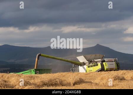 Une vue vers Bennachie avec une moissonneuse-batteuse chargement de grain (Orge) dans une remorque verte sur une ferme dans Aberdeenshire Banque D'Images