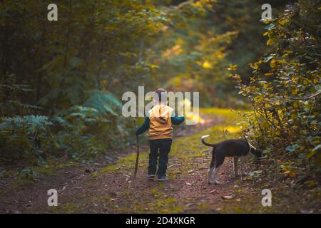 un petit garçon marchant sur un chemin avec un chien dans une saison d'autumun de forêt Banque D'Images