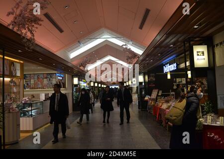 Tokyo, Japon-3/01/16: À l'intérieur du centre commercial de Tokyo: Groupes d'acheteurs poursuivant les divers magasins vus de gauche à droite. Banque D'Images