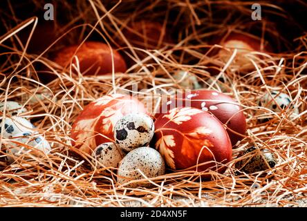 Oeufs de Pâques, peaux d'oignons bouillies teints avec un motif d'herbes et des oeufs de caille dans le foin sur le vieux fond en bois dans le style rustique, foyer sélectif Banque D'Images