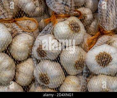 Texture de la pile d'ail blanc sec. Pile de têtes d'ail blanches Banque D'Images