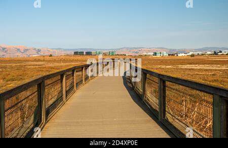 Une promenade dans la réserve naturelle de Baylands. Palo Alto, comté de Santa Clara, Californie, États-Unis Banque D'Images