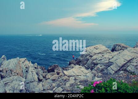 Terrain accidenté, falaises rocheuses dans le parc national Maine Acadia Banque D'Images
