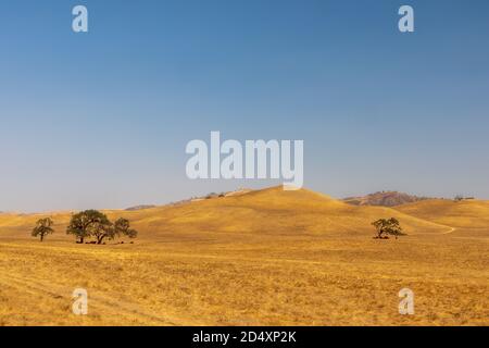 Paysage pittoresque et ensoleillé dans le parc national Pinnacle, Californie Banque D'Images