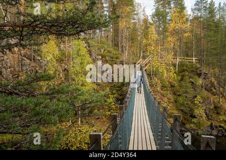 L'homme marche sur le pont suspendu dans le parc national d'Oulanka À l'automne en Finlande Banque D'Images