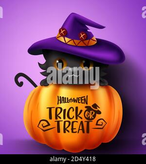 Motif vectoriel chat Halloween. Halloween trick ou traiter le texte dans l'élément de citrouille avec un joli chat noir portant un chapeau dans fond violet. Illustration de Vecteur