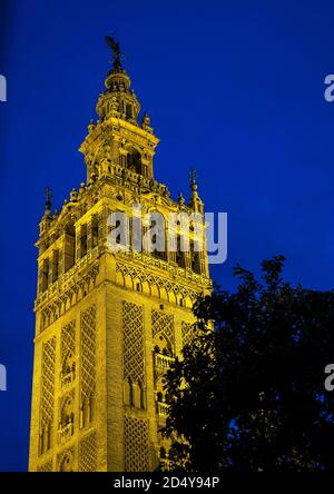 La célèbre tour de cloche nommée Giralda dans la cathédrale catholique de Saint Mary, Catedral de Santa Maria de la Sede à Séville, Andalousie, Espagne la nuit Banque D'Images