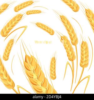 Modèle pour la conception de pain. Bannière pour étiquette de bière, produits céréaliers. Illustration vectorielle. Illustration de Vecteur