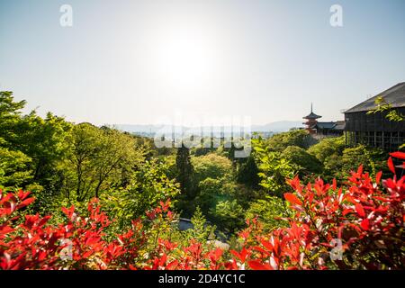 Vue sur Kyoto depuis le temple Kiyomizu-dera, Kyoto, Japon Banque D'Images