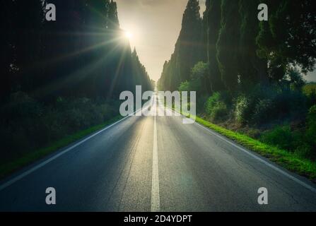 Bolgheri célèbre cyprès arbres droit boulevard paysage au coucher du soleil. Maremma Site Touristique, Toscane, Italie, Europe. Banque D'Images