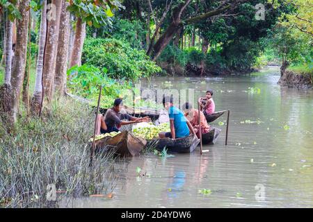 Pirojpur, Bangladesh : marché flottant de la Guava Atghar Kuriana Banque D'Images